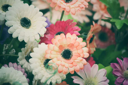 Vintage flowersの写真素材