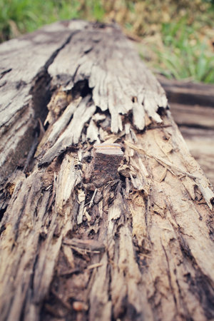 Vintage wood background