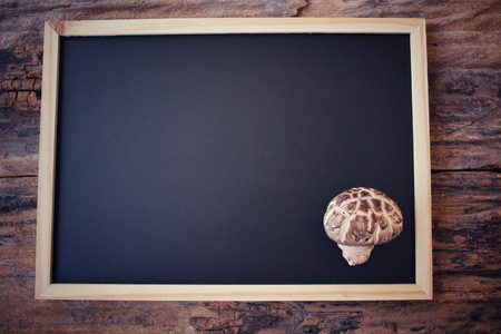 Shiitake mushroomの写真素材