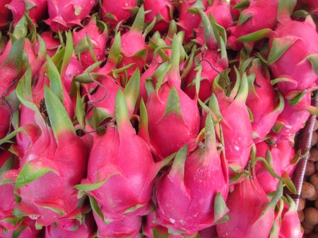 Dragon fruits.の写真素材