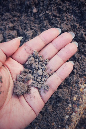 Soil on hand