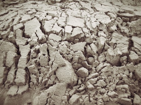 Cracked dry soilの写真素材