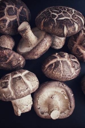 Shiitake mushroomsの写真素材