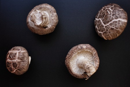 Shiitake mushroomsの写真素材
