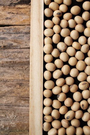 Soy beansの写真素材