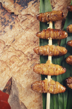 Silkworm pupae