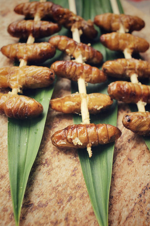 Silkworm pupaeの写真素材