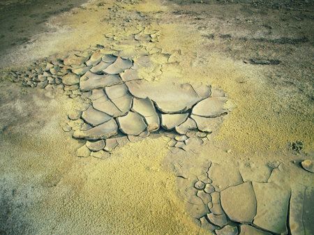 Cracked dry soilの写真素材