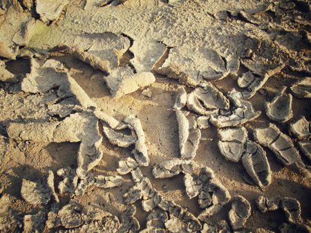 Cracked dry soil