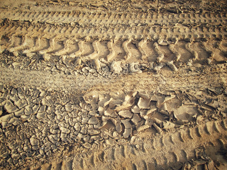Wheel tracks on the soil.
