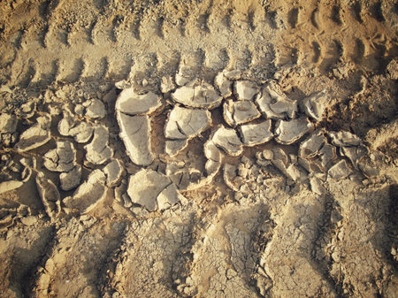 Cracked dry soil