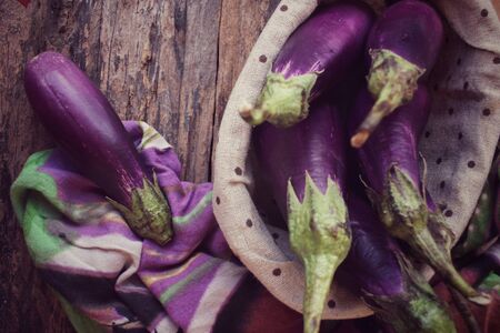 Purple eggplantsの写真素材