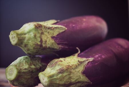 Purple eggplantsの写真素材