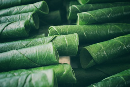 Betel leafの写真素材