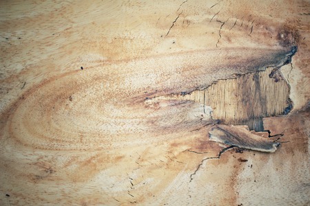 Old wood backgroundの写真素材