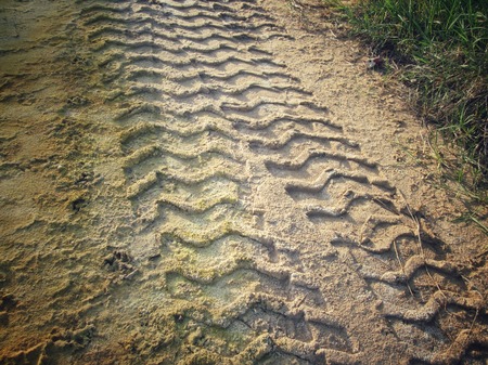 Wheel tracks on the soil.の写真素材