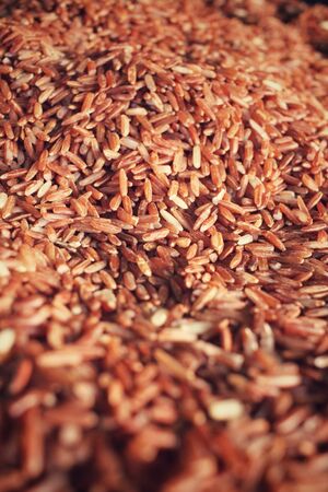 Red riceの写真素材