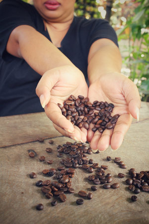 Roasted coffee beans on handsの写真素材