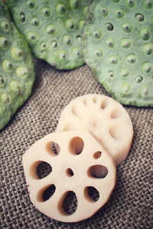 Root and seed lotusの写真素材