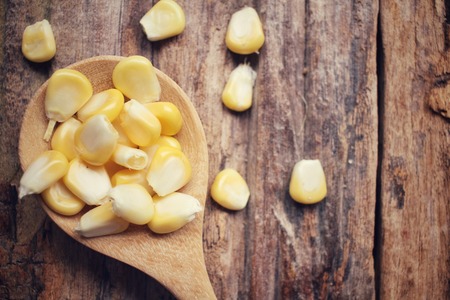 Fresh corn seedsの写真素材