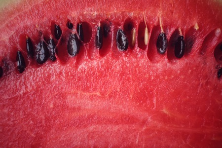 Watermelonの写真素材