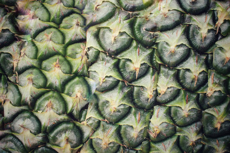 Pineapple skin