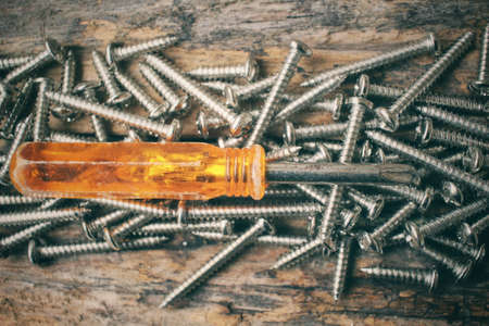 Screwdriver with screwの写真素材