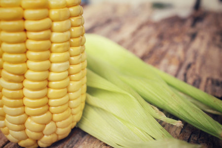 Fresh corn