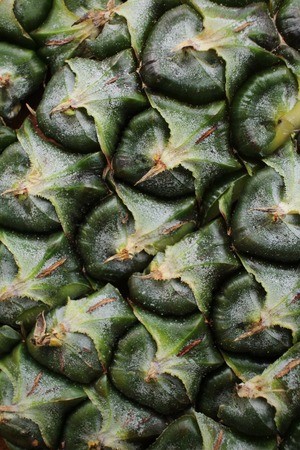 Pineapple skinの写真素材