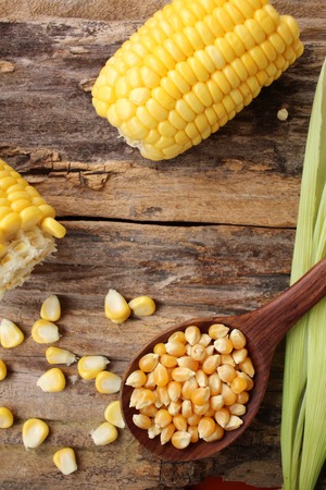 Fresh corn and seedsの写真素材