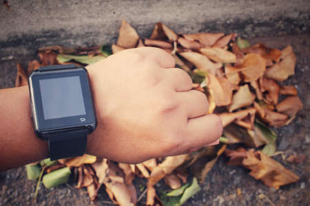 Smartwatch with dry leavesの写真素材