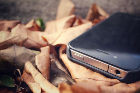 Smart phone with dried leavesの写真素材