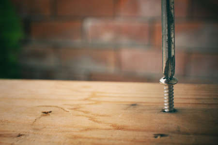 Screwdriver with screwの写真素材