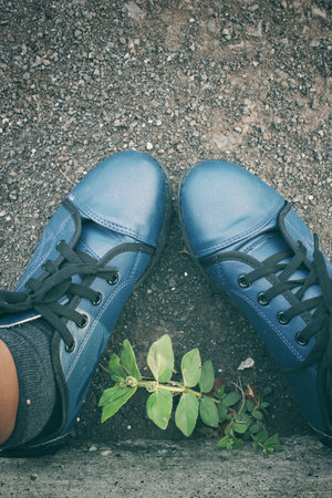 Sneakers with plant