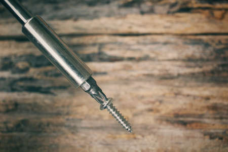 Screwdriver with screwの写真素材