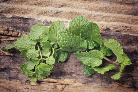Pepper mint leaves