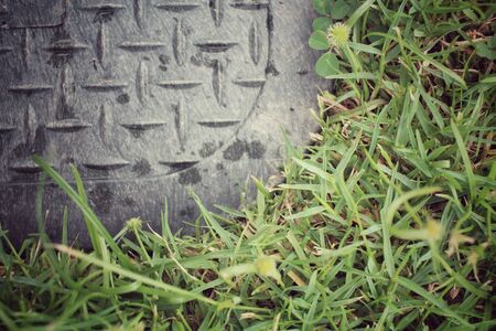 Green grassの写真素材