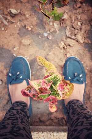 Selfie of shoesの写真素材