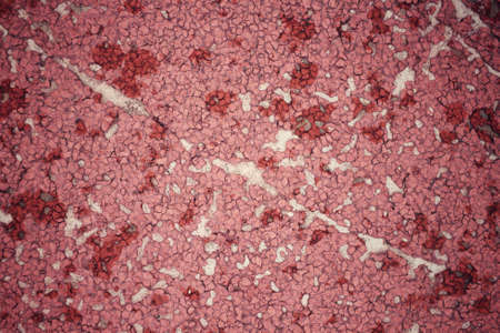 Old track backgroundの写真素材