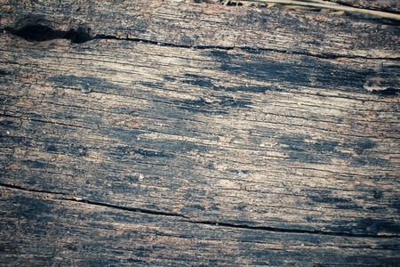 Old plywood backgroundの写真素材