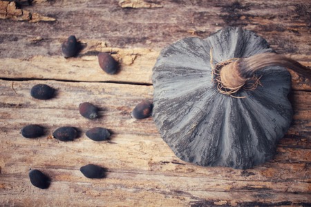 Dried lotus seedsの写真素材