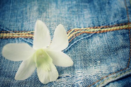 White orchid flower on jeansの写真素材