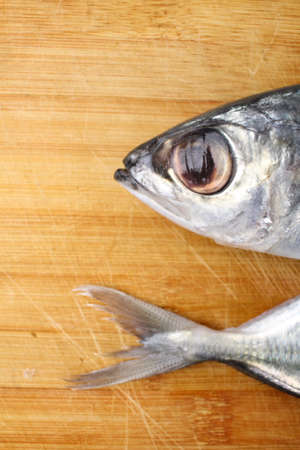 Fresh raw fishの写真素材