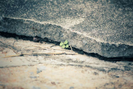 Cracks on the roadの写真素材