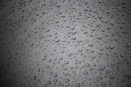 Water dropの写真素材