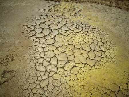 Cracked dry soilの写真素材