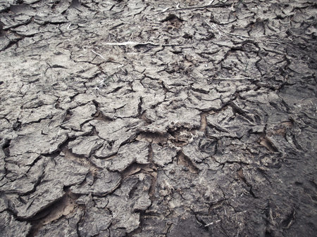 Cracked dry soil