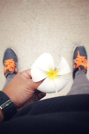 Selfie of white frangipani flower with handの写真素材