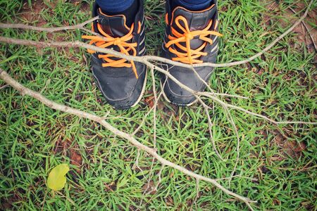 Selfie of sneakers with branchの写真素材