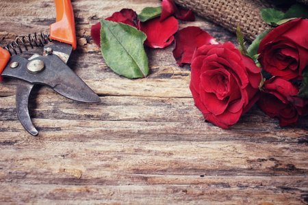 Woman making bouquet with red roses flower